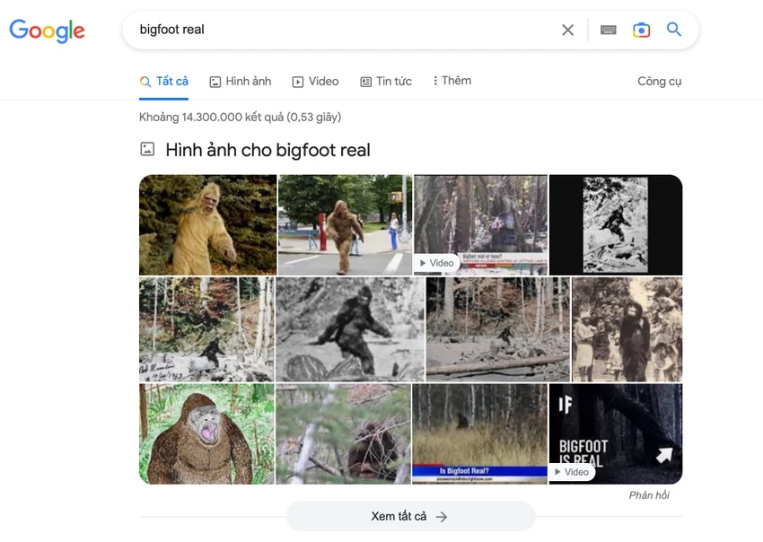 cac-thuyet-am-muu-pho-bien-tren-google Các thuyết âm mưu rất phổ biến trên Google. Ảnh: TIỂU MINH