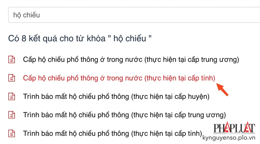 Chọn dịch vụ cấp hộ chiếu phổ thông ở trong nước. Ảnh: MINH HOÀNG