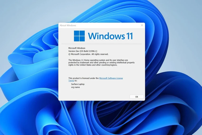 Nhiều tính năng trên Windows 11 bị người dùng chê. Ảnh minh họa