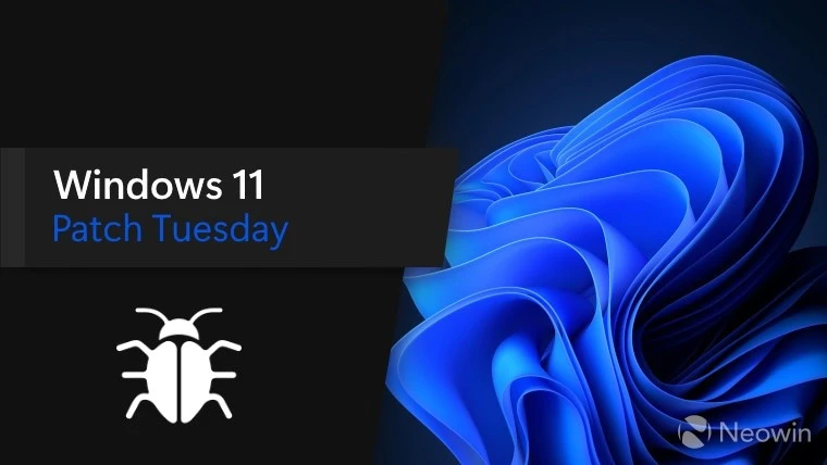 Bản cập nhật Windows 11 KB5048685 gây ra hàng loạt vấn đề. Ảnh: Neowin