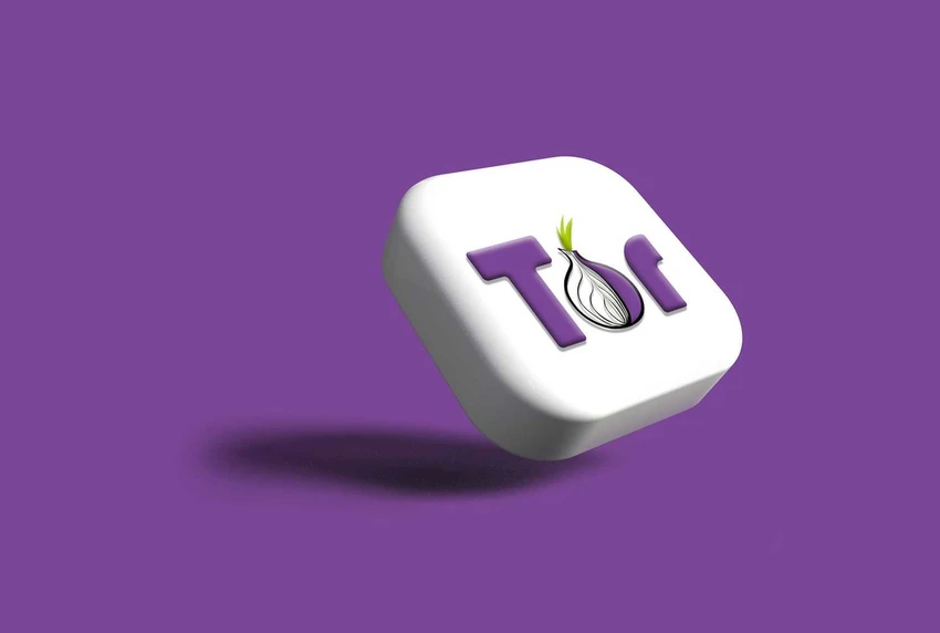 Tor là một trong những trình duyệt tốt nhất trong việc bảo vệ quyền riêng tư. Ảnh: Tor