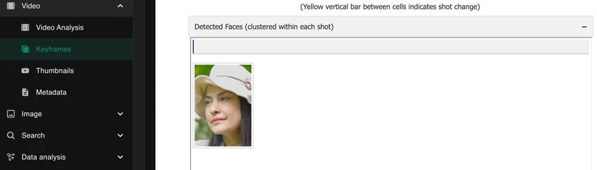 invid-video-frames.jpg