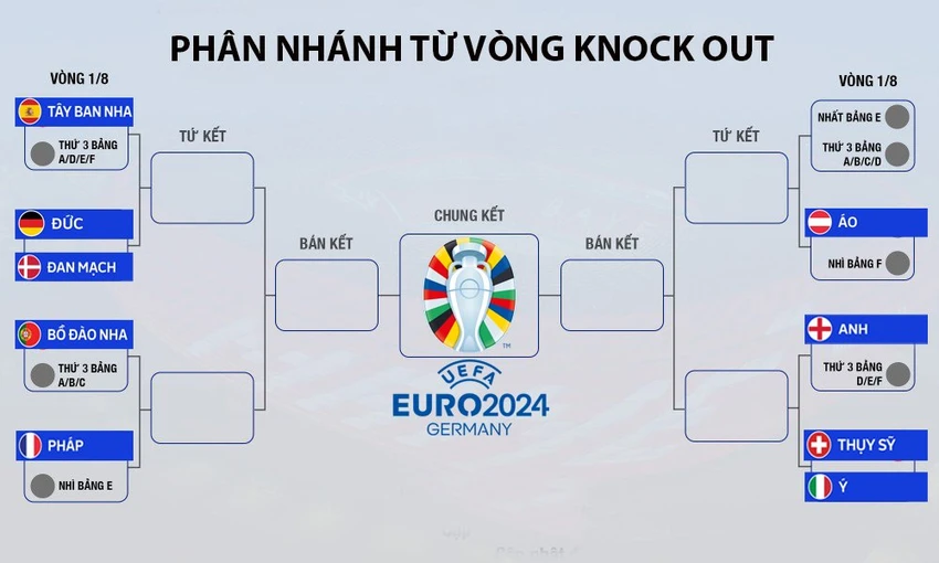 nhánh đấu qui tụ rừng “cọp beo”