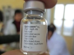Đồng loạt tiêm lại vắcxin Quinvaxem trong tháng 10 ảnh 1