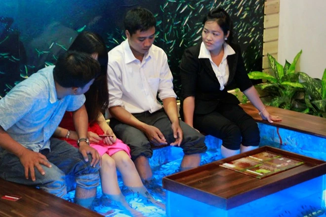 Vừa uống cà phê, vừa bị cá cắn ở Sài Gòn ảnh 9 Vừa uống cà phê, vừa bị cá cắn ở Sài Gòn ảnh 9