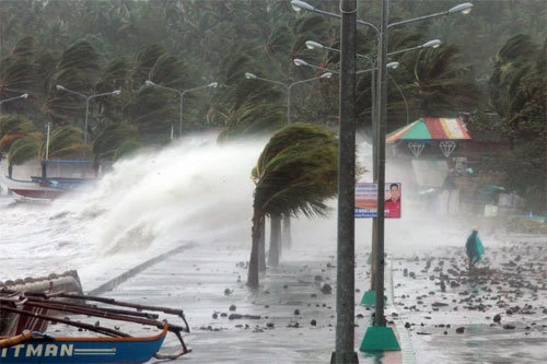 Philippines tan hoang sau siêu bão ảnh 5 Philippines tan hoang sau siêu bão ảnh 5