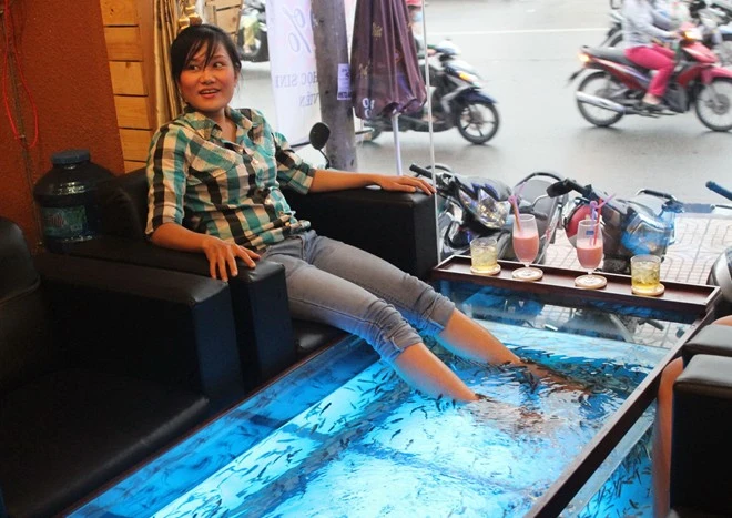 Vừa uống cà phê, vừa bị cá cắn ở Sài Gòn ảnh 7 Vừa uống cà phê, vừa bị cá cắn ở Sài Gòn ảnh 7