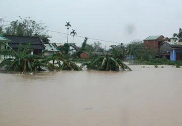 Đang có “bệnh dịch” mang tên thủy điện! ảnh 3 Đang có “bệnh dịch” mang tên thủy điện! ảnh 3