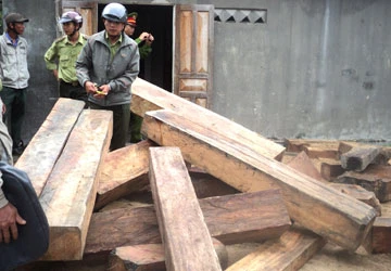 Lâm tặc tấn công lực lượng chức năng, cướp lại gỗ lậu ảnh 1 Lâm tặc tấn công lực lượng chức năng, cướp lại gỗ lậu ảnh 1
