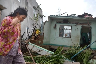 Thủy điện không thể vô can ảnh 1