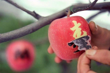 Quả dưa có giá bằng... xe hơi và chuyện ẩm thực ở Nhật ảnh 12