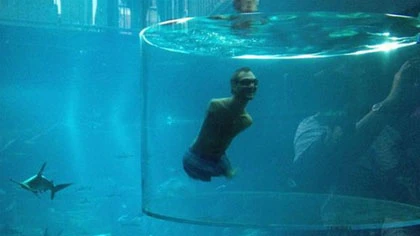 Nick Vujicic bơi cùng cá mập ảnh 1 Nick Vujicic bơi cùng cá mập ảnh 1