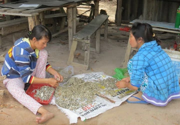 Hơn 200 hộ nghèo bị chiếm dụng tiền vay ảnh 1 Hơn 200 hộ nghèo bị chiếm dụng tiền vay ảnh 1