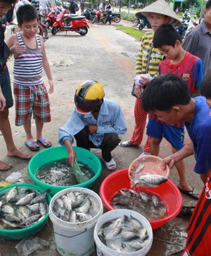 Miền Trung chìm trong lũ ảnh 2 Miền Trung chìm trong lũ ảnh 2