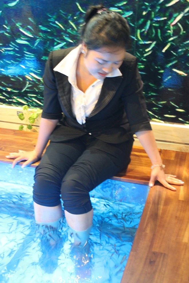 Vừa uống cà phê, vừa bị cá cắn ở Sài Gòn ảnh 6 Vừa uống cà phê, vừa bị cá cắn ở Sài Gòn ảnh 6