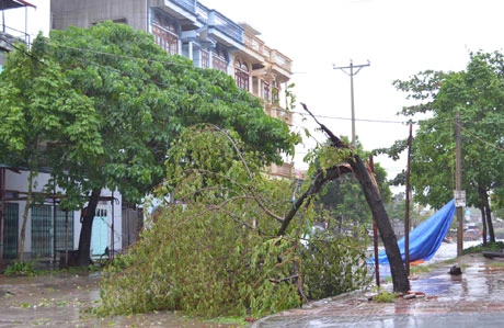 Bão Hải Yến quét qua Quảng Ninh: Gần 500 nhà bị tốc mái và sập ảnh 5