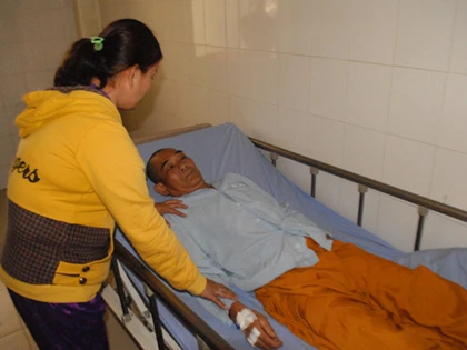 Hái hoa loa kèn nhúng lẩu, 4 người nhập viện ảnh 2
