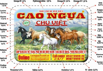 Tai biến mạch máu não: Phòng ngừa và chữa trị ảnh 1