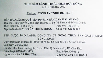 Phát hành thư bảo lãnh 25 tỉ đồng sai thẩm quyền ảnh 1 Phát hành thư bảo lãnh 25 tỉ đồng sai thẩm quyền ảnh 1