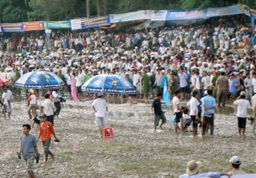 An Giang: “Hooligan” phá bĩnh giải đua bò Bảy Núi ảnh 2