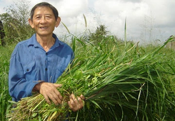 Truyền nhân của anh hùng Hồ Giáo ảnh 1 Truyền nhân của anh hùng Hồ Giáo ảnh 1