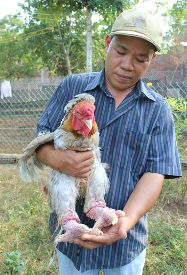 Hàng “độc” bán chạy ảnh 1 Hàng “độc” bán chạy ảnh 1