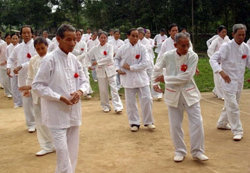 Thảo dược phòng ngừa máu nhiễm mỡ ảnh 1 Thảo dược phòng ngừa máu nhiễm mỡ ảnh 1