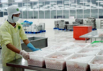 Doanh nghiệp cạn vốn, thiếu nguyên liệu ảnh 1 Doanh nghiệp cạn vốn, thiếu nguyên liệu ảnh 1