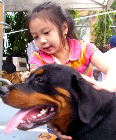 Thi "hoa hậu chó" ảnh 5 Thi "hoa hậu chó" ảnh 5