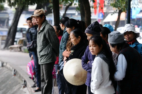 Rùa hồ Gươm "dạo chơi" trong giá lạnh ảnh 8