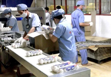Giá trứng thị trường chưa giảm ảnh 1 Giá trứng thị trường chưa giảm ảnh 1