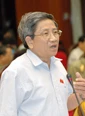 Phiên chất vấn cuối cùng tại kỳ họp Quốc hội: Giải trình thêm về bô-xít, chủ quyền biển đảo ảnh 2