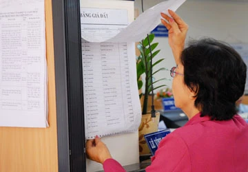 Cái tù mù trong giá đất: Sự lai tạp! ảnh 1