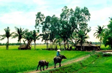 Giáp Văn Thạch và những giấc mơ ảnh 1 Giáp Văn Thạch và những giấc mơ ảnh 1