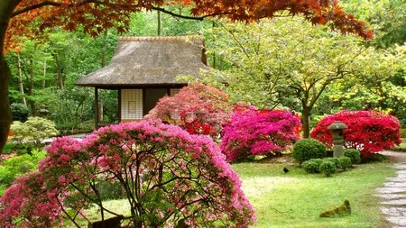 Đẹp ngỡ ngàng bộ sưu tập hình nền “mùa xuân” ảnh 21 Đẹp ngỡ ngàng bộ sưu tập hình nền “mùa xuân” ảnh 21
