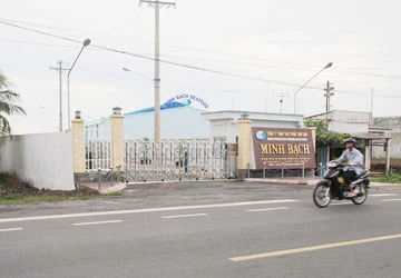 Đại dịch tôm tạp chất - Bài 2: Cản ngại từ các doanh nghiệp ảnh 1 Đại dịch tôm tạp chất - Bài 2: Cản ngại từ các doanh nghiệp ảnh 1