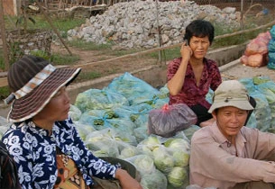 Chợ hàng bông, Khánh Bình trên bến dưới thuyền nhộn nhịp Chợ hàng bông, Khánh Bình trên bến dưới thuyền nhộn nhịp