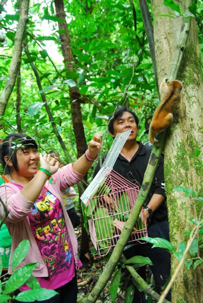 Thả thú hoang dã về rừng ảnh 2 Thả thú hoang dã về rừng ảnh 2