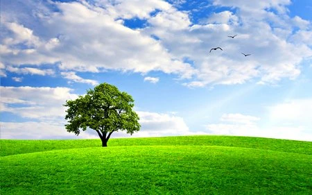 Đẹp ngỡ ngàng bộ sưu tập hình nền “mùa xuân” ảnh 10 Đẹp ngỡ ngàng bộ sưu tập hình nền “mùa xuân” ảnh 10