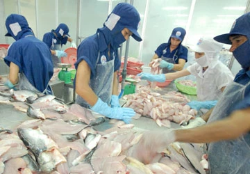“Ẩu”, “cả tin”: Dễ dính kiện phá giá, trợ cấp ảnh 1 “Ẩu”, “cả tin”: Dễ dính kiện phá giá, trợ cấp ảnh 1