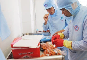 Đại dịch tôm tạp chất - Bài 2: Cản ngại từ các doanh nghiệp ảnh 3 Đại dịch tôm tạp chất - Bài 2: Cản ngại từ các doanh nghiệp ảnh 3