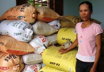 Rộ tin đồn lúa gây... vô sinh, ung thư! ảnh 1 Rộ tin đồn lúa gây... vô sinh, ung thư! ảnh 1