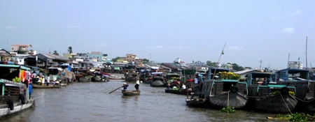 Miệt Hậu Giang: Những nẻo đường xuân ảnh 9 Miệt Hậu Giang: Những nẻo đường xuân ảnh 9