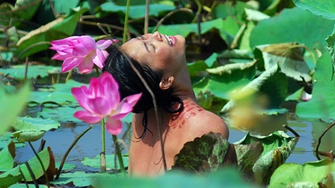 'Cánh đồng bất tận' xuất khẩu sang Mỹ ảnh 3 'Cánh đồng bất tận' xuất khẩu sang Mỹ ảnh 3