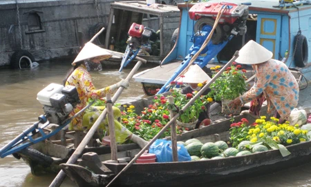 Miệt Hậu Giang: Những nẻo đường xuân ảnh 10 Miệt Hậu Giang: Những nẻo đường xuân ảnh 10