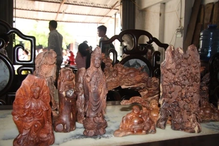 Khúc gỗ bằng quả dưa chuột có giá 2 chỉ vàng ảnh 1 Khúc gỗ bằng quả dưa chuột có giá 2 chỉ vàng ảnh 1