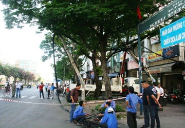 Vướng dây cáp, xe đầu kéo quật gãy ba trụ điện ảnh 1 Vướng dây cáp, xe đầu kéo quật gãy ba trụ điện ảnh 1
