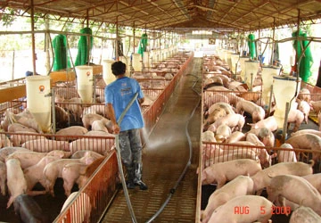 Phòng dịch là chính ảnh 1 Phòng dịch là chính ảnh 1