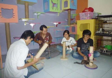 Biệt đội “cứu hộ chó, mèo” ảnh 1 Biệt đội “cứu hộ chó, mèo” ảnh 1