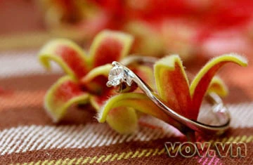 Lộc vừng già hồ Gươm lại trổ hoa ảnh 11 Lộc vừng già hồ Gươm lại trổ hoa ảnh 11